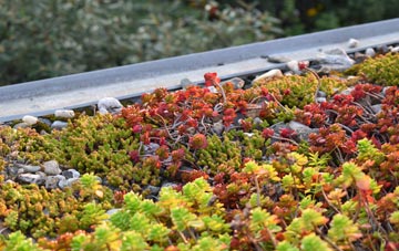 the cost of Sutton Bridge green roof installation