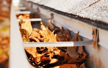 Sutton Bridge gutter cleaning companies