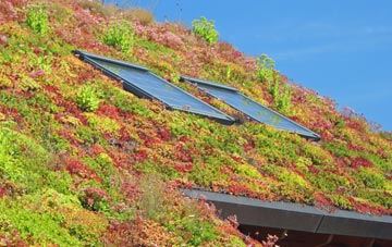 Sutton Bridge living roof systems
